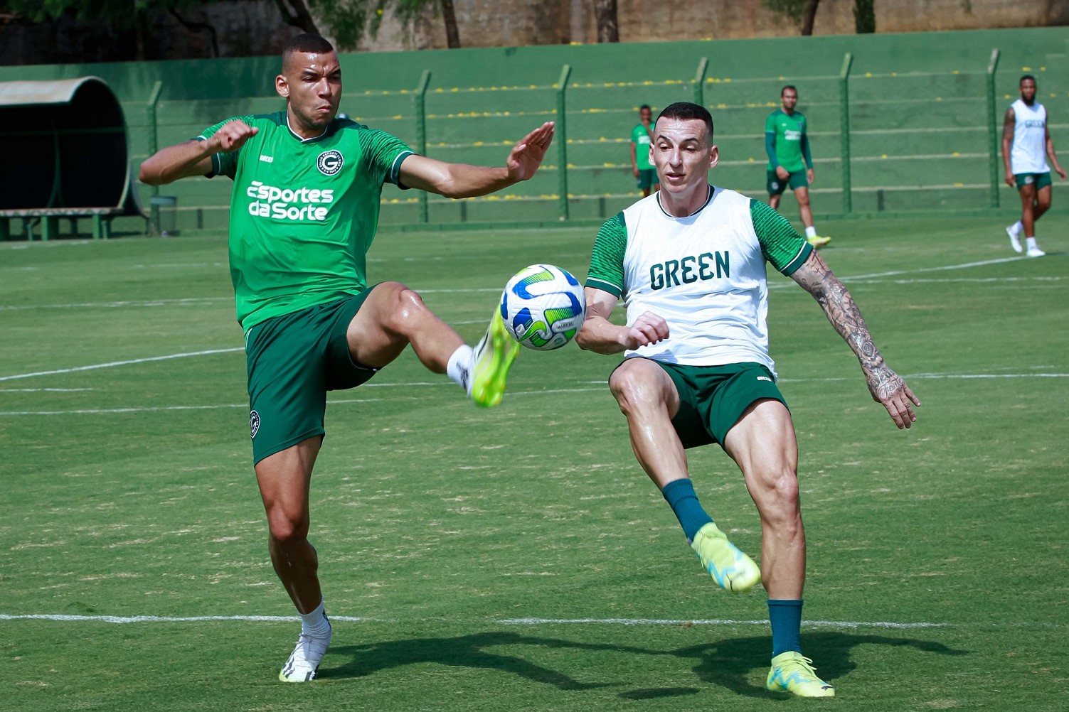 goias treino botafogo