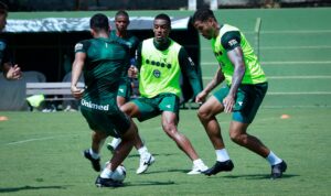 🚨 Goiás x Novorizontino: jogo do ano na Serrinha! Verdão depende só de si e entrará no G-4 se vencer 🟢🔥